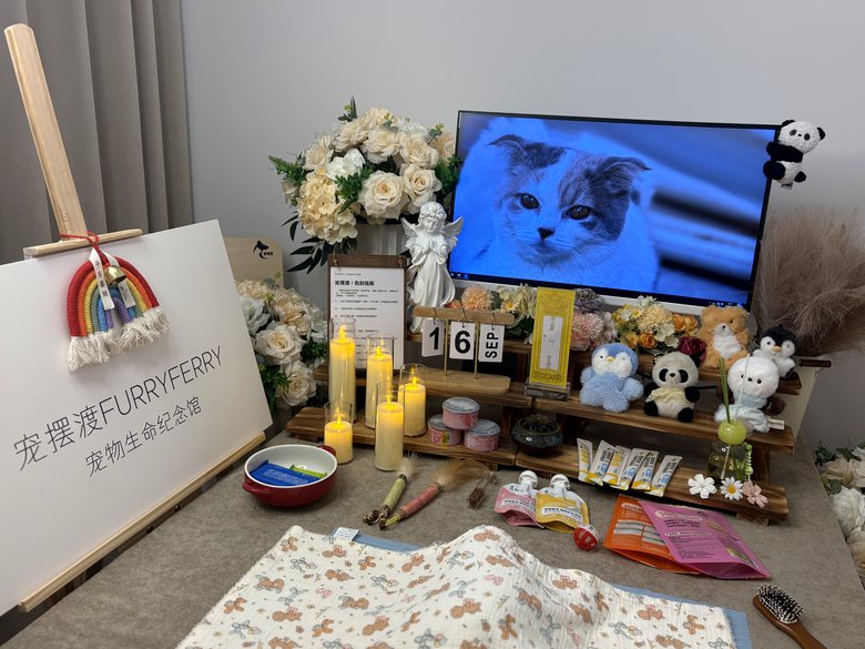 宠物爪印留念与纪念品定制