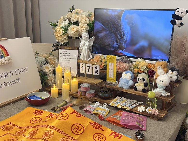 宠物纪念相册与追思布置